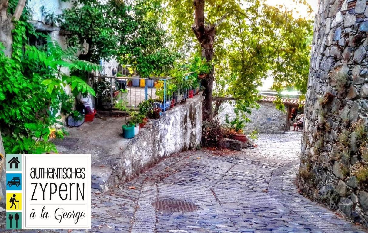Isminis Petroktisto Holidays Stonehouse Palechori Dış mekan fotoğraf